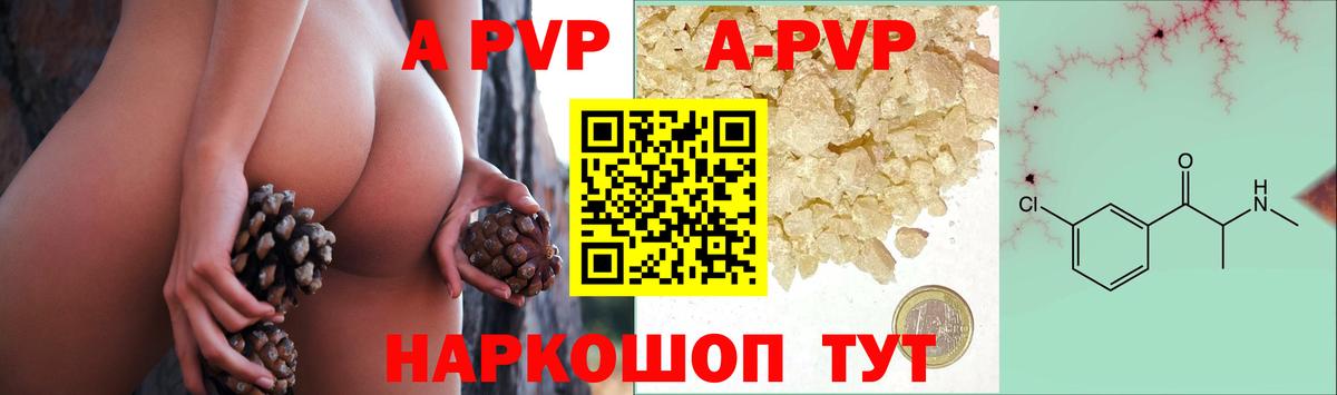A PVP СК КРИС Кисловодск