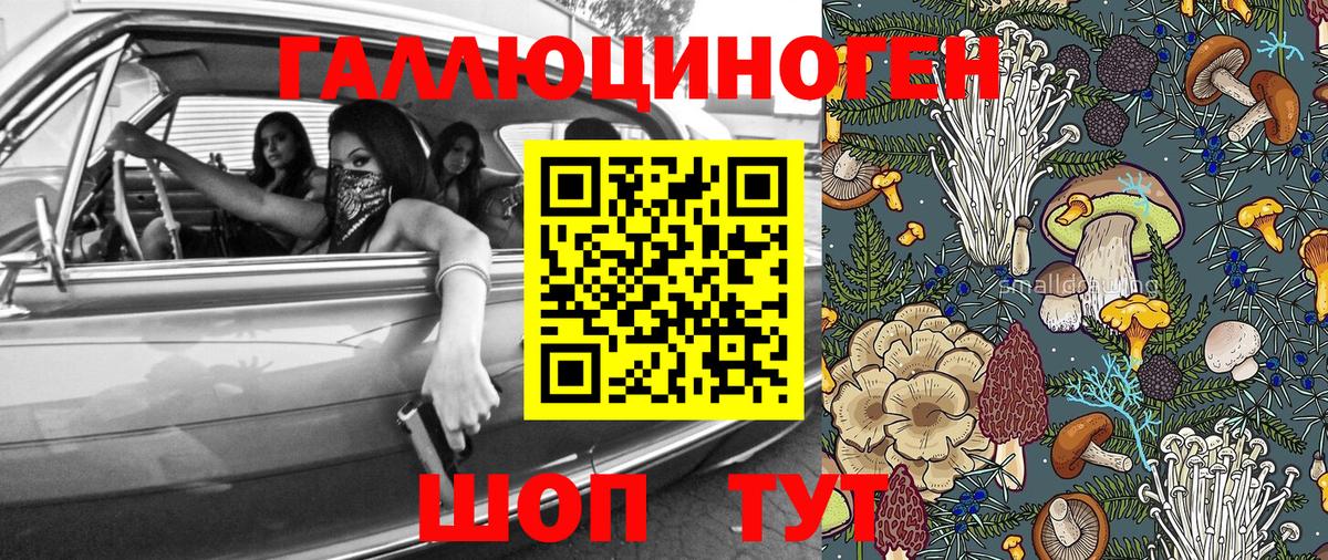 Псилоцибиновые грибы Magic Shrooms  купить закладку  Вход с VPN  Кисловодск  Галлюциногенные грибы Psilocybe 