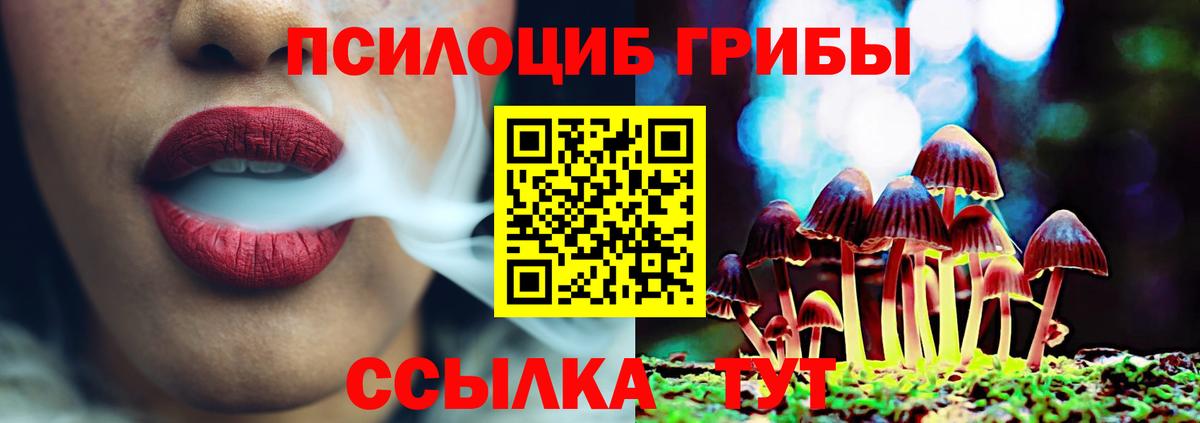 Галлюциногенные грибы MAGIC MUSHROOMS Кисловодск