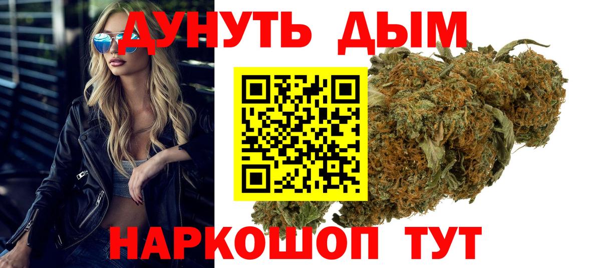 Бошки марихуана сатива Кисловодск